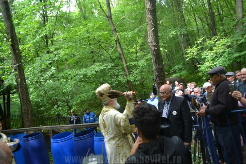 DSC_0716_800x533