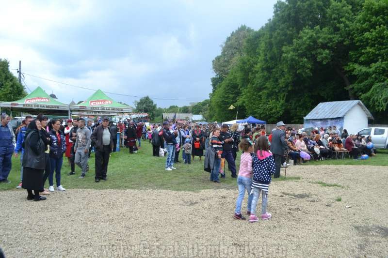 DSC_0749_800x533