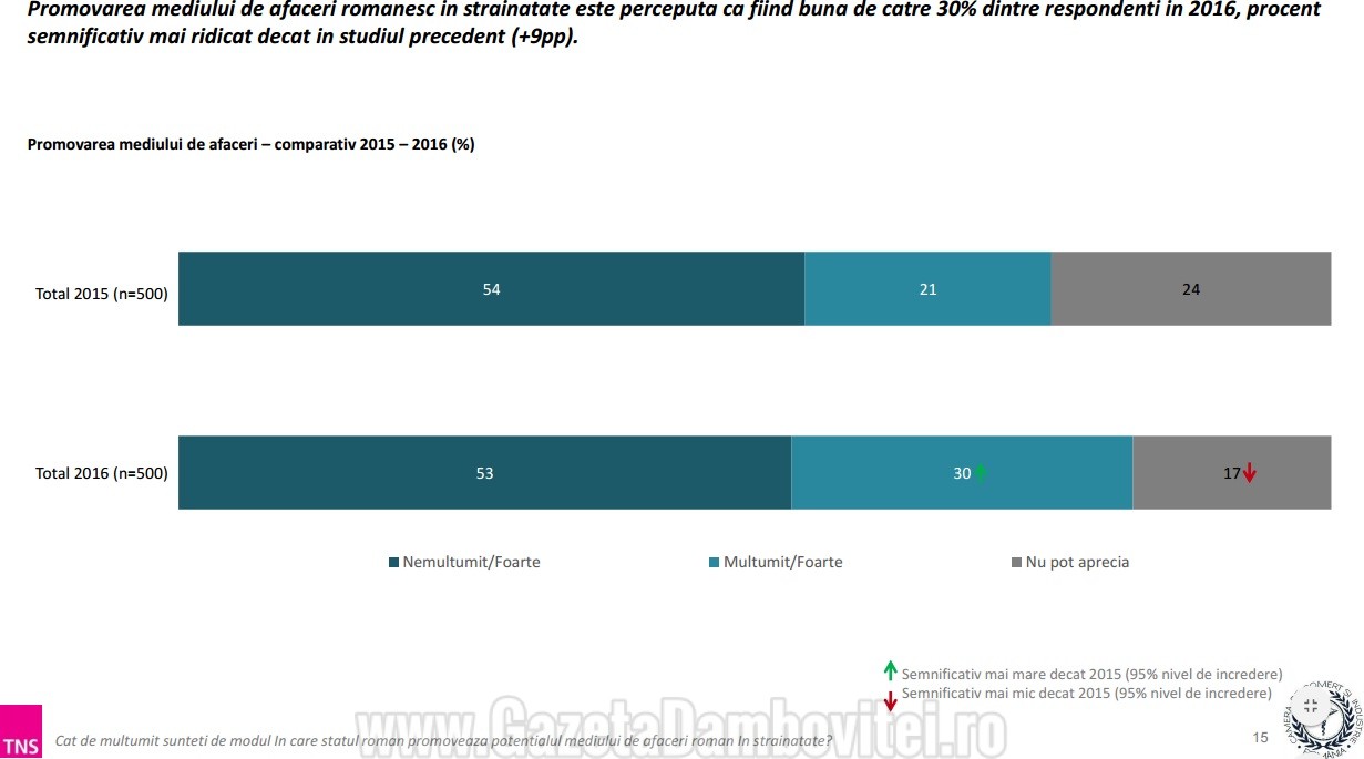 perceptii mediul de afaceri 15