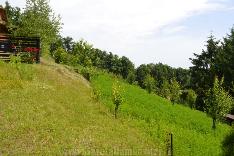 DSC_0097_800x533