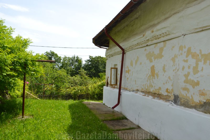 DSC_0130_800x533
