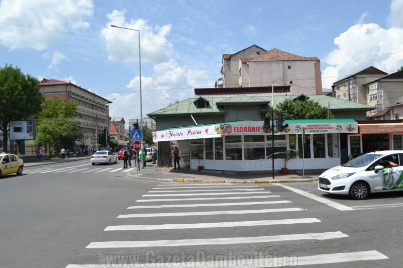 DSC_1208_800x533