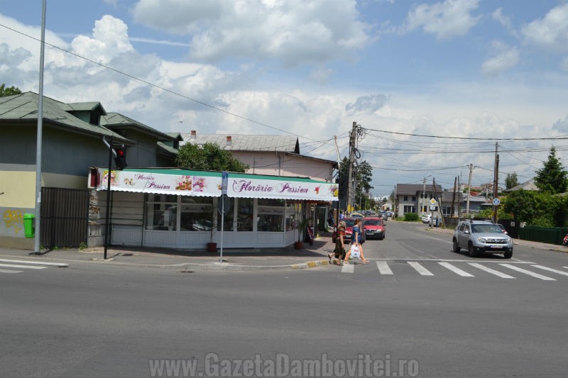 DSC_1218_800x533
