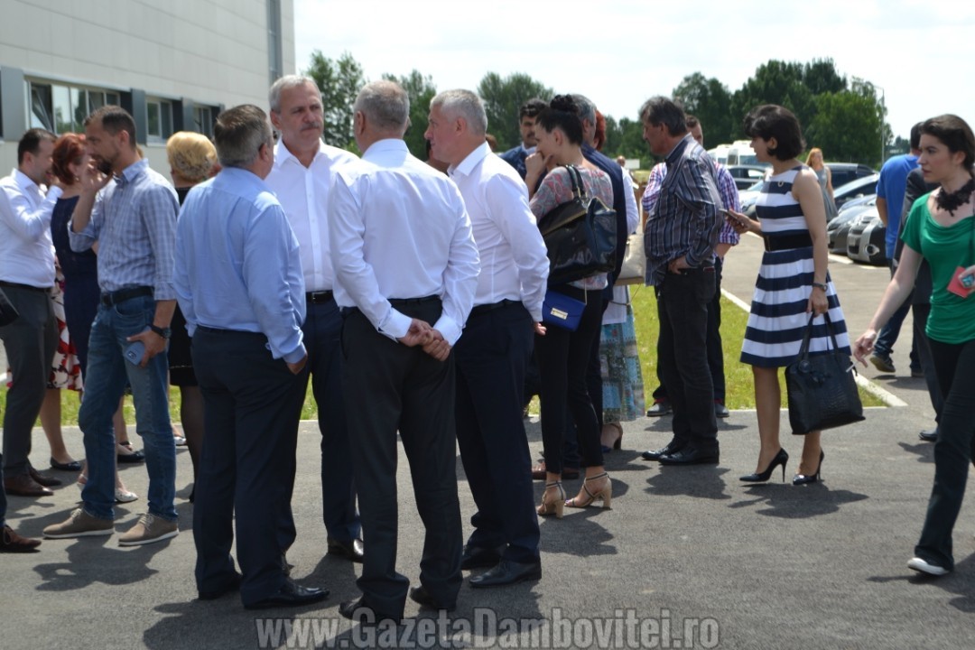 dragnea
