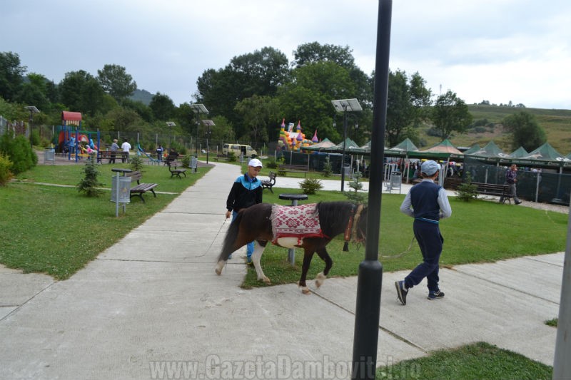 DSC_0646_800x533