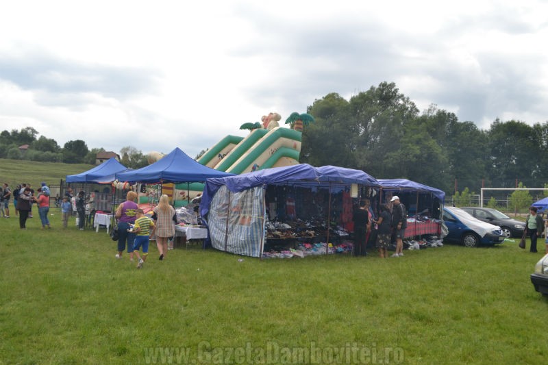 DSC_0648_800x533