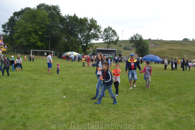 DSC_0649_800x533