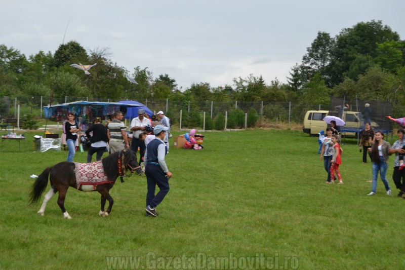 DSC_0650_800x533