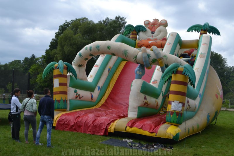 DSC_0651_800x533