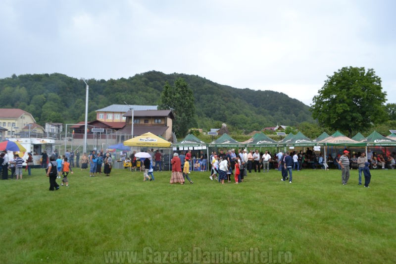 DSC_0652_800x533