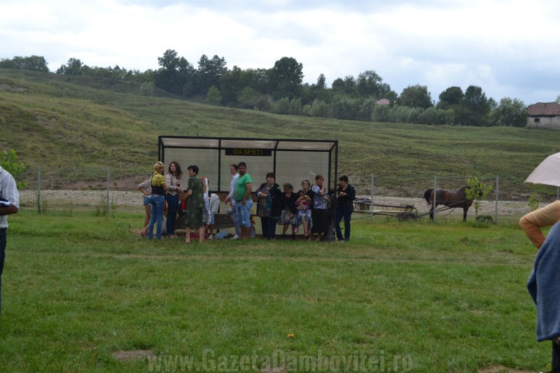 DSC_0653_800x533
