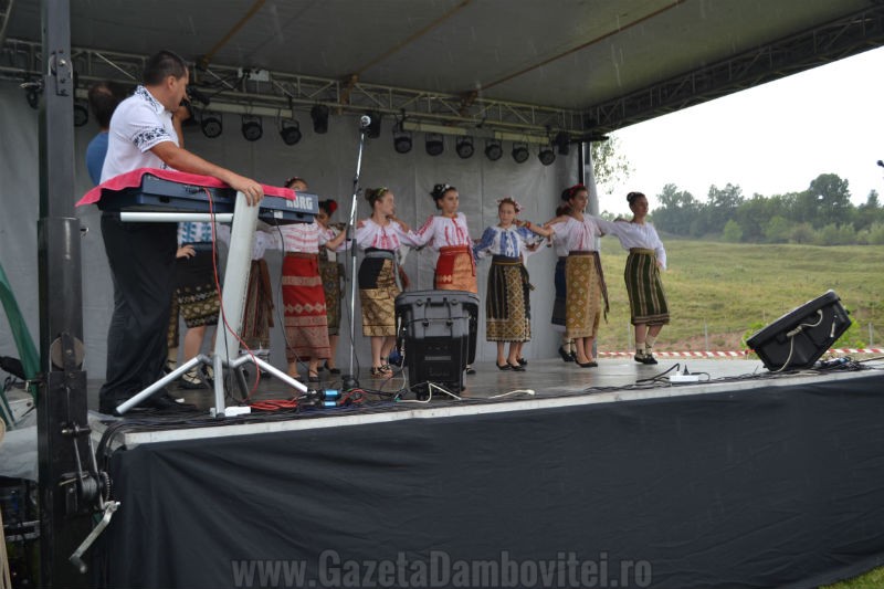 DSC_0655_800x533
