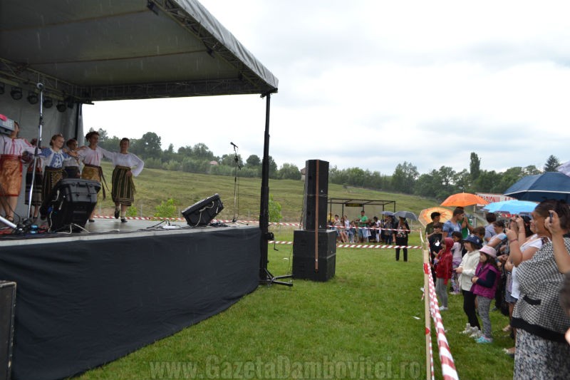 DSC_0658_800x533