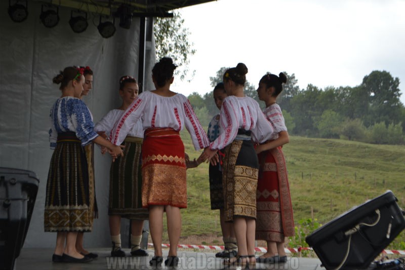 DSC_0660_800x533