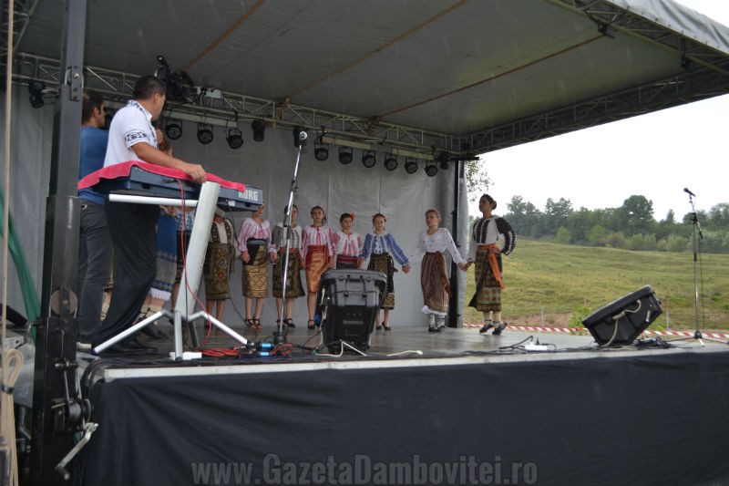 DSC_0661_800x533