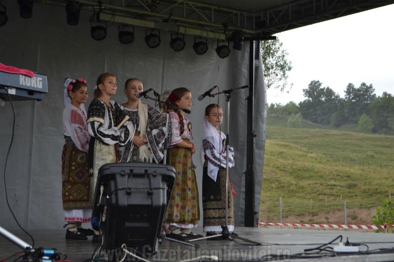 DSC_0662_800x533