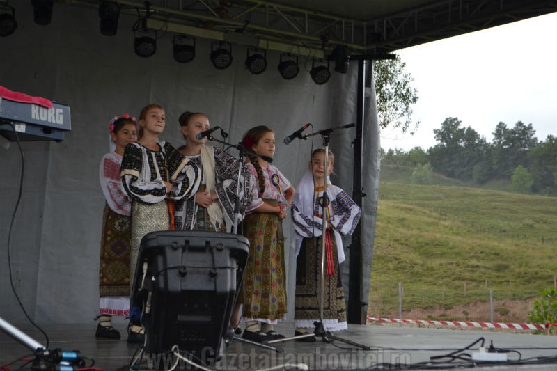 DSC_0663_800x533