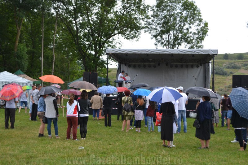 DSC_0664_800x533