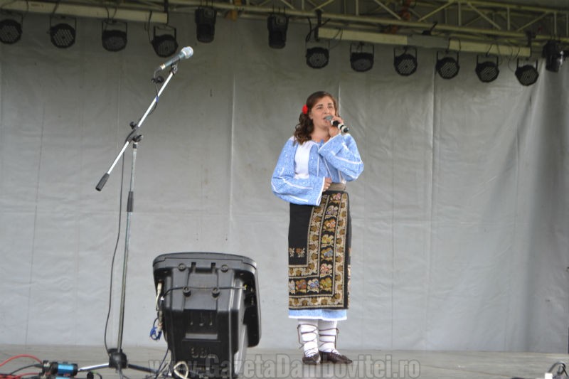 DSC_0668_800x533