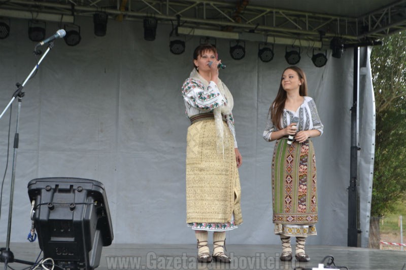 DSC_0669_800x533