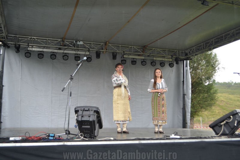 DSC_0671_800x533