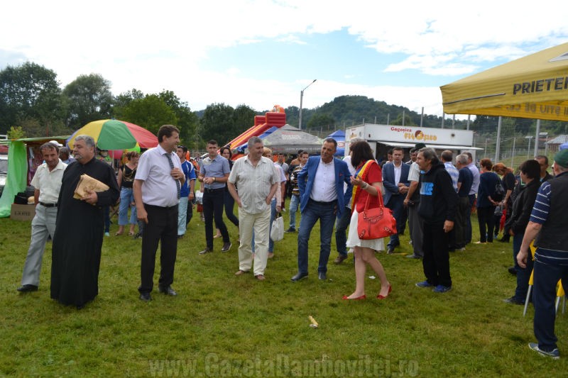 DSC_0702_800x533