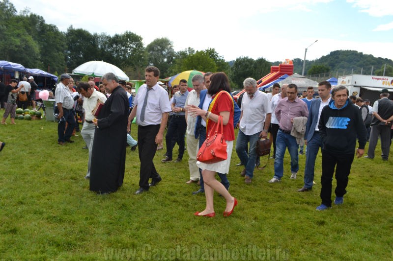DSC_0704_800x533