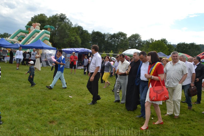 DSC_0705_800x533