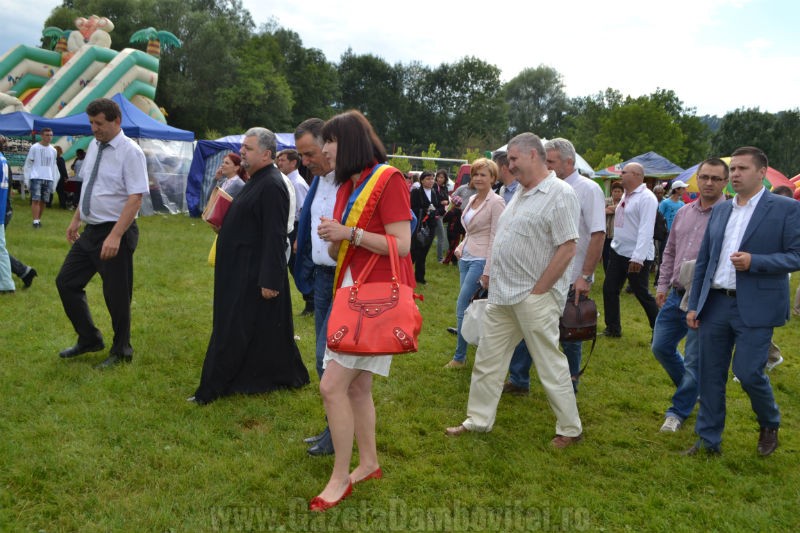 DSC_0706_800x533
