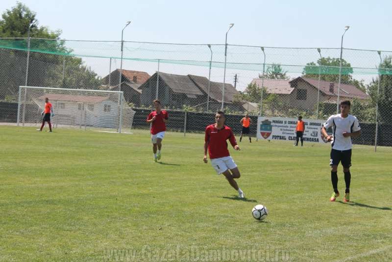 IMG_8480_800x536