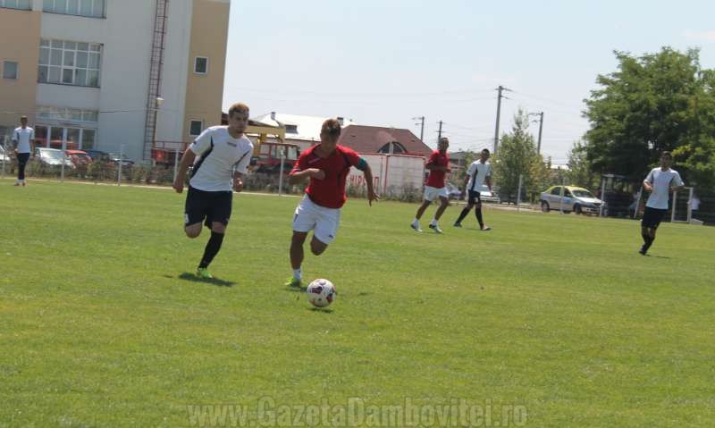 IMG_8486_800x479