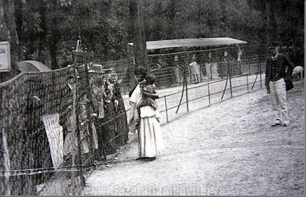 gradini zoo umane (2)
