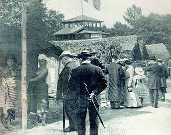 gradini zoo umane (5)