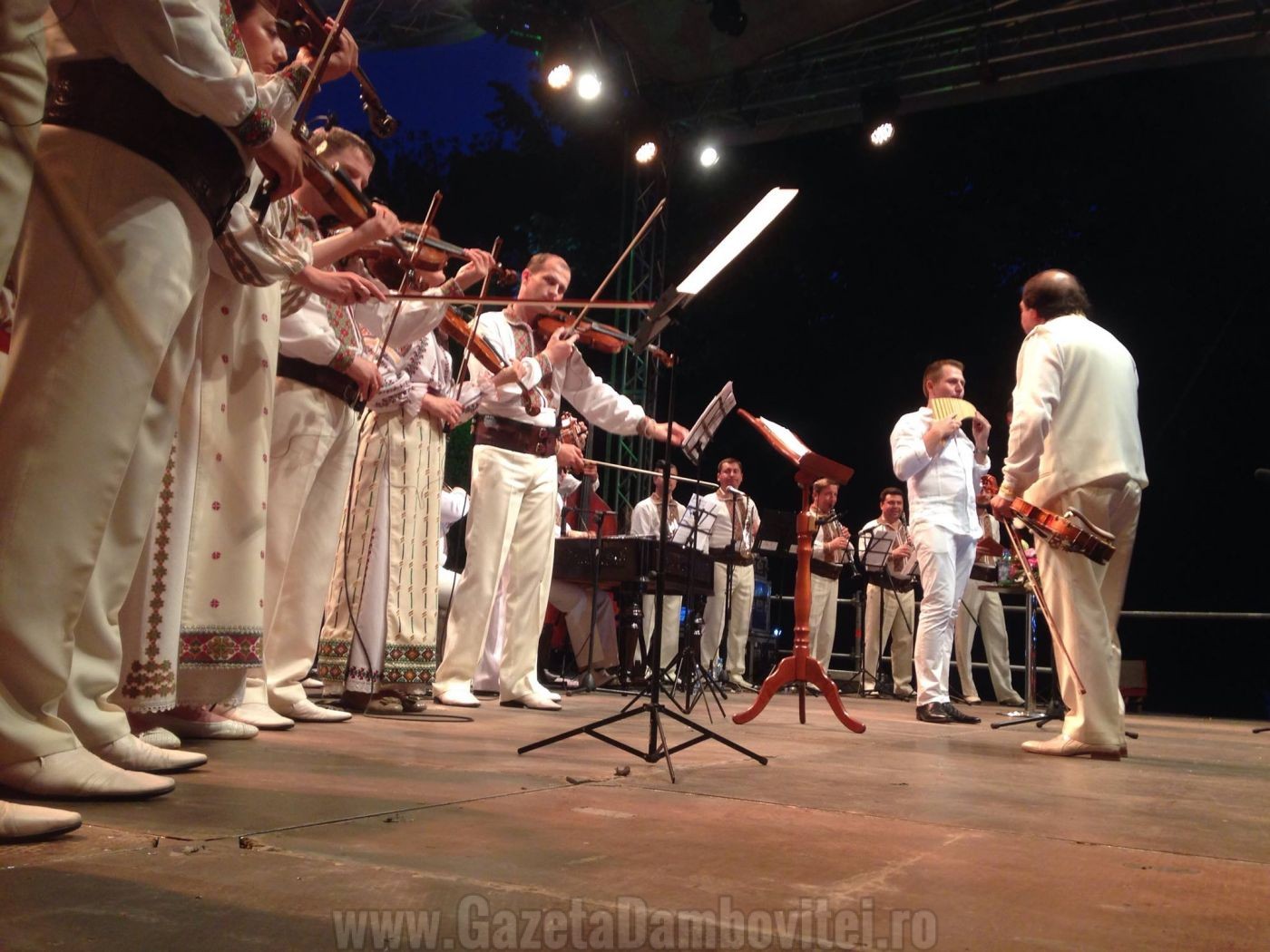 zamfir 2016 (6)