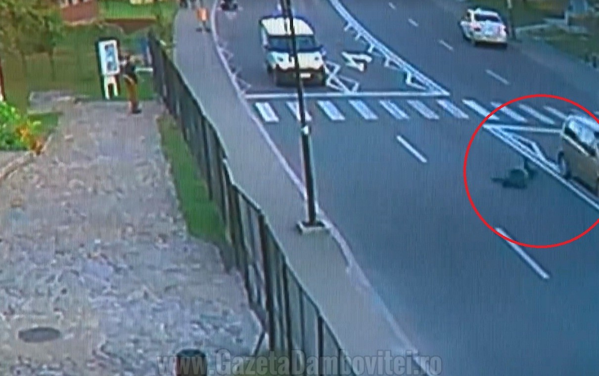 accident-3