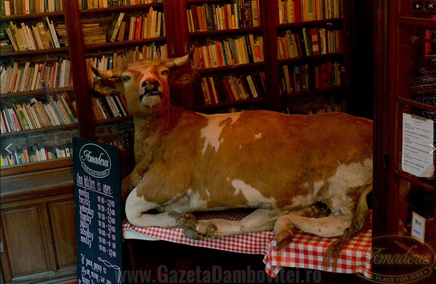 Amadeus, the place for ribs