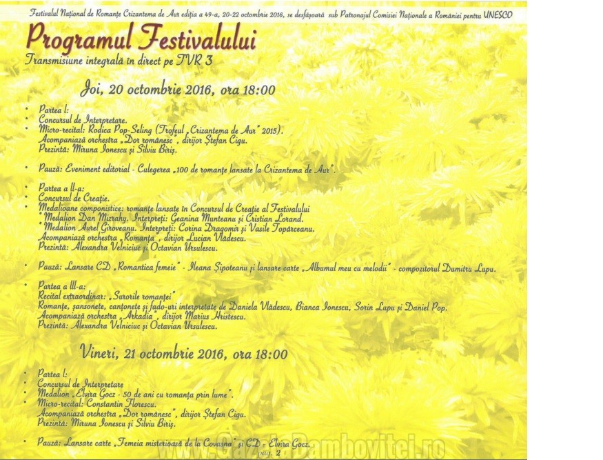 crizantema-1