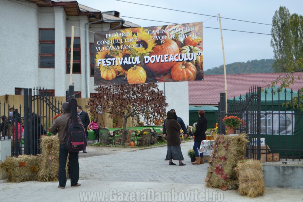festival-dovleac-vulcana-pandele-2