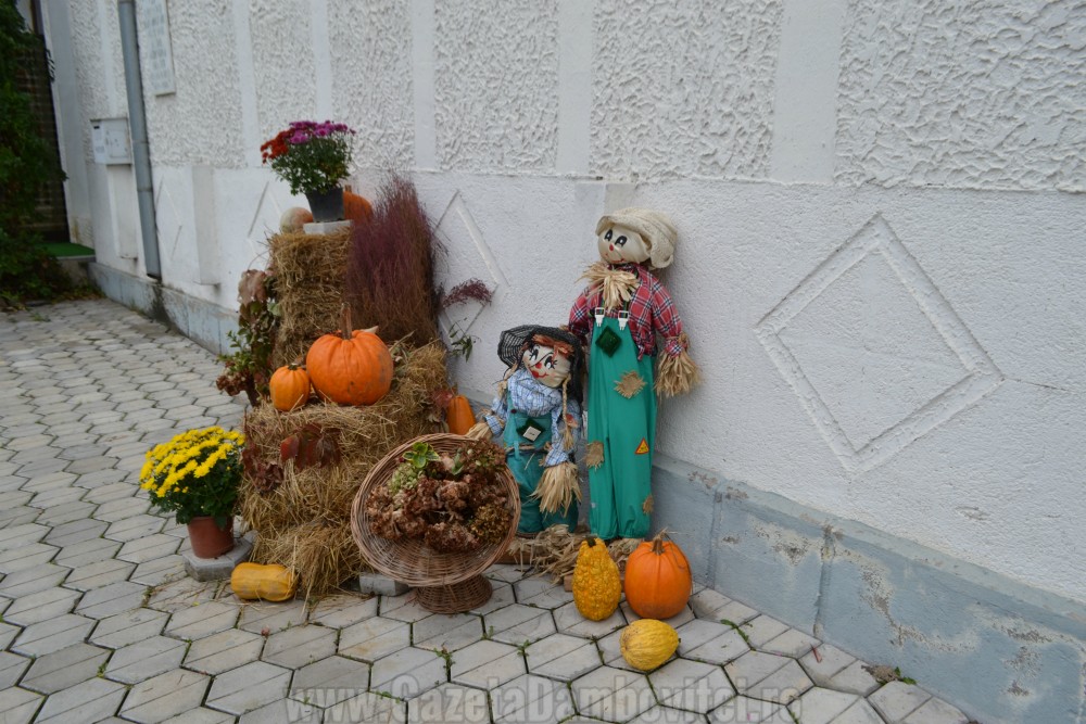 festival-dovleac-vulcana-pandele-5