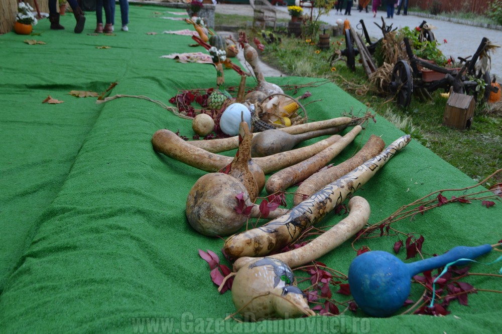 festival-dovleac-vulcana-pandele-7