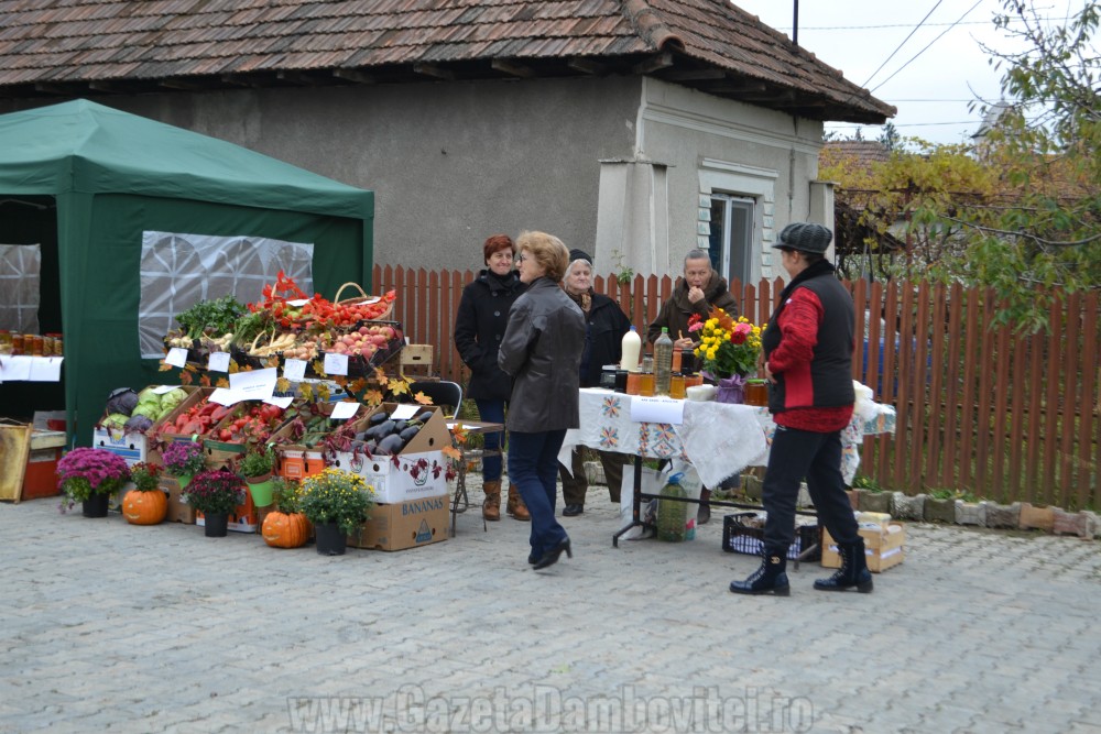 festival-dovleac-vulcana-pandele-8