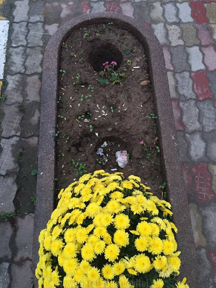 flori-1-mai-2