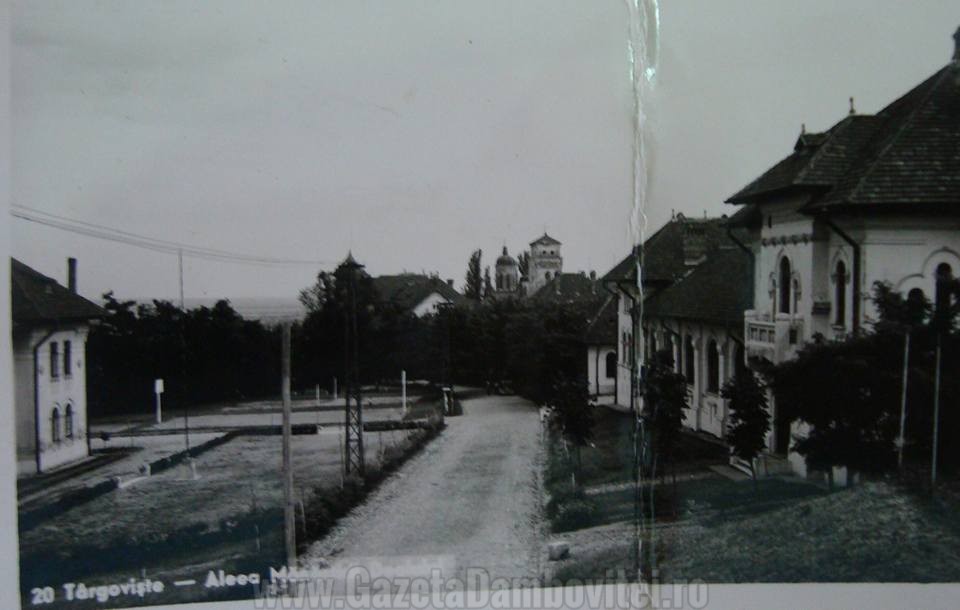 Aleea Mănăstirii Dealu