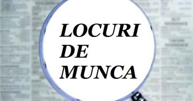 Vrei să lucrezi la stat? Nu prea ai unde. Un singur post pe platforma destinată sistemului bugetar dâmbovițean Vrei să lucrezi la stat? Nu prea ai unde. Un singur post pe platforma destinată sistemului bugetar dâmbovițean