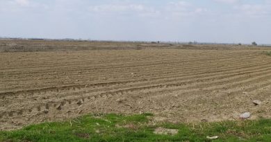 APIA Dâmbovița: A început campania de primire a cererilor unice de sprijin! APIA Dâmbovița: A început campania de primire a cererilor unice de sprijin!
