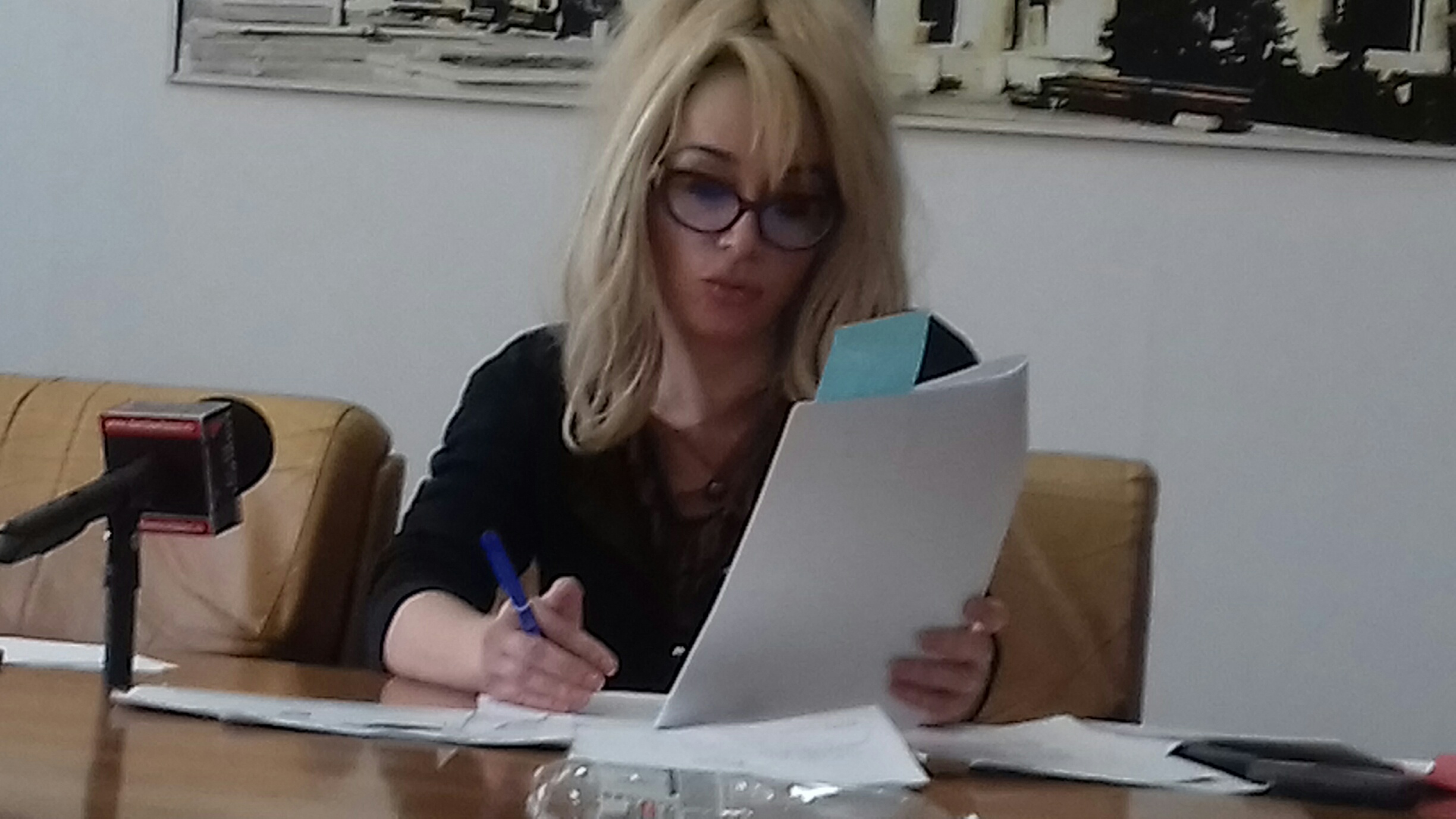 doina stefan bej