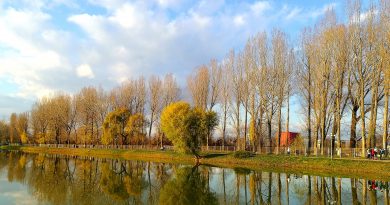 Vine toamna! Vremea se răcorește în weekend Vine toamna! Vremea se răcorește în weekend