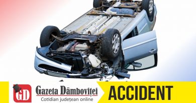 TÂRGOVIȘTE: Șofer beat și sub influența drogurilor, implicat într-un accident TÂRGOVIȘTE: Șofer beat și sub influența drogurilor, implicat într-un accident