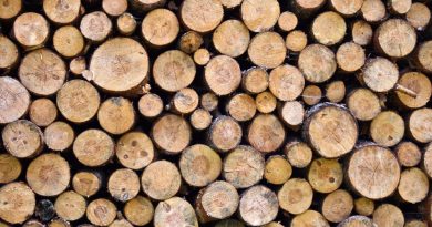VALEA MARE: Fără permis, fără asigurare, căra lemne fără acte de proveniență VALEA MARE: Fără permis, fără asigurare, căra lemne fără acte de proveniență