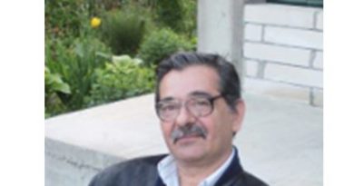 OGLINZI DE NISIP – Mircea DRĂGĂNESCU – Poezii de când eram mai tânăr OGLINZI DE NISIP – Mircea DRĂGĂNESCU – Poezii de când eram mai tânăr